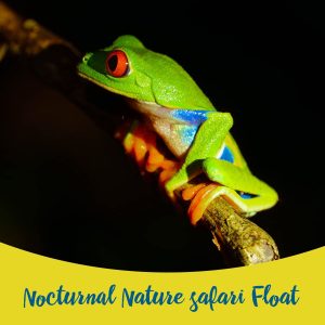 Nocturnal Nature Safari Float at Wave