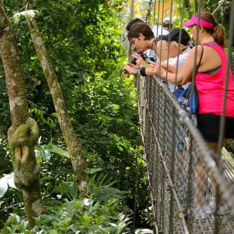 Hanging Bridges and Rafting Adventure