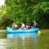 Safari Float and Tortilla Making