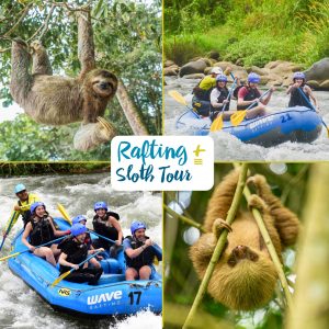 Sloth Tour and Rafting Combo