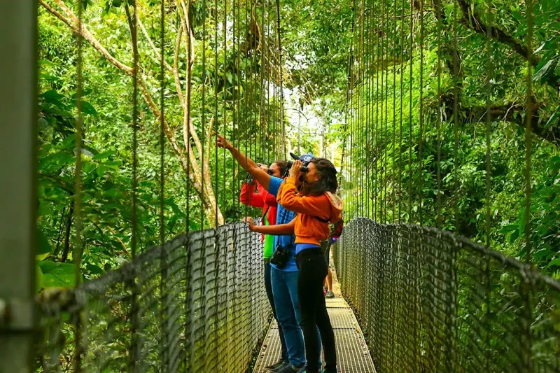 Arenal Hanging Bridges