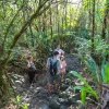 Arenal Volcano Guided Hike family