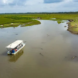 caño negro boat tour