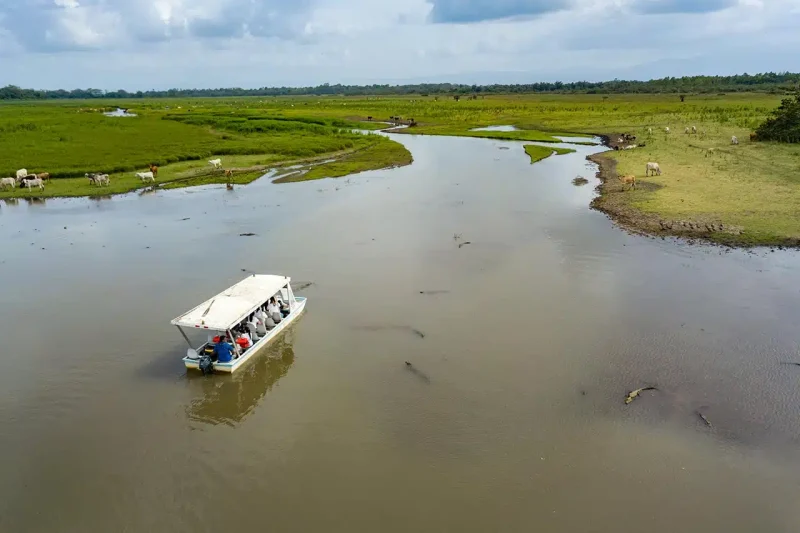 Cano Negro Rio Frio Boat Tour