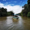 caño negro boat tour