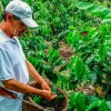 Don Juan Coffee and Chocolate Tour in La Fortuna