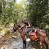 Horseback Riding Tour to Arenal Volcano