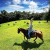 Horseback Riding Tour to Arenal Volcano