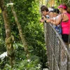 Mistico Hanging Bridges Guided Tour