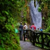 Mistico Hanging Bridges Guided Tour