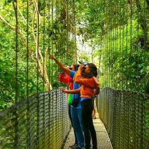 Mistico Hanging Bridges Guided Tour